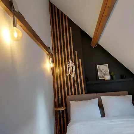 Loft De La Raquette Apartment Mons Exterior photo