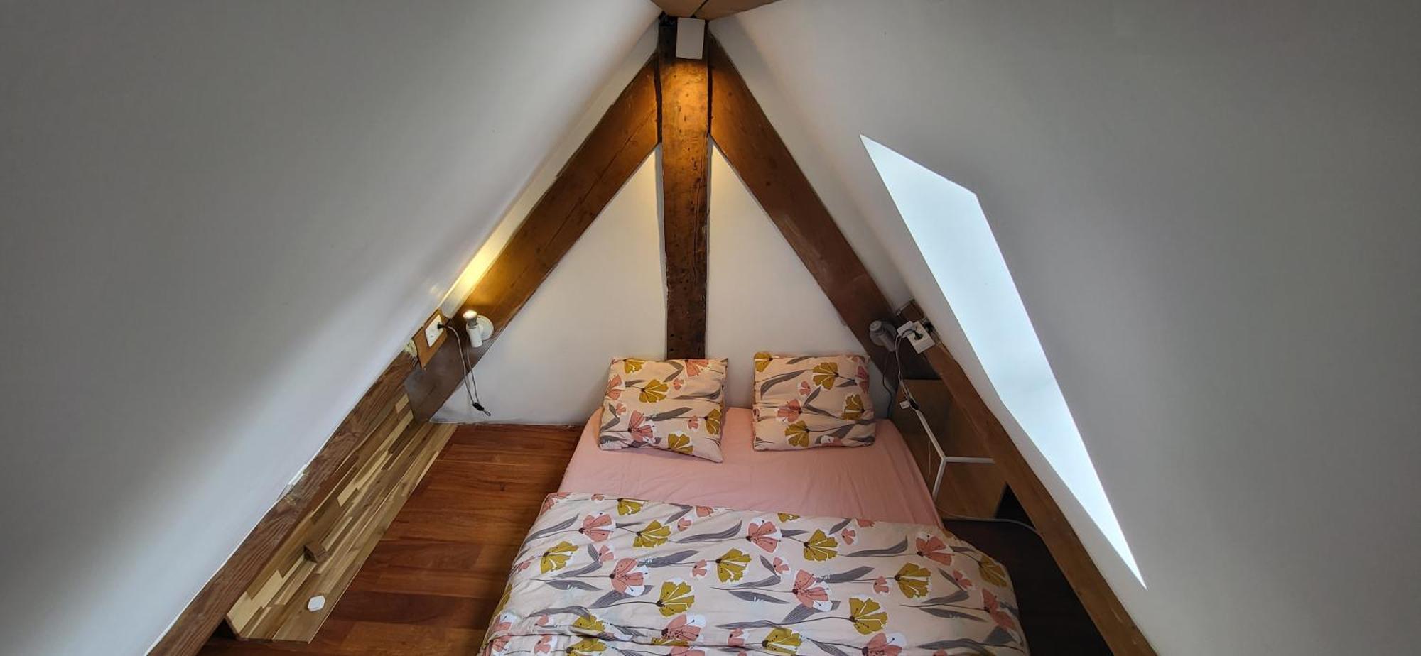 Loft De La Raquette Apartment *